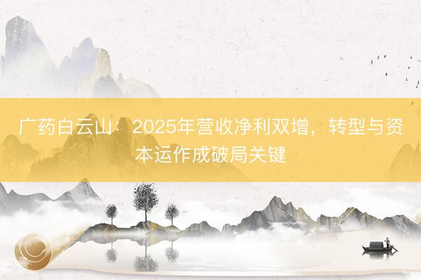 广药白云山：2025年营收净利双增，转型与资本运作成破局关键