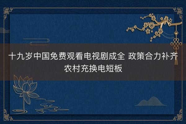 十九岁中国免费观看电视剧成全 政策合力补齐农村充换电短板