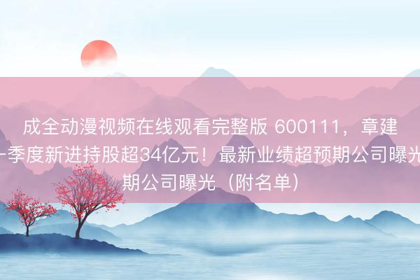 成全动漫视频在线观看完整版 600111，章建平出手，一季度新进持股超34亿元！最新业绩超预期公司曝光（附名单）