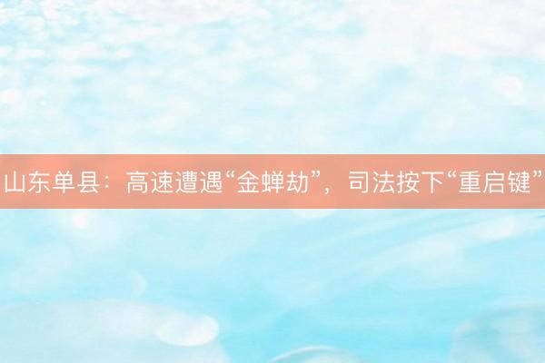 山东单县：高速遭遇“金蝉劫”，司法按下“重启键”
