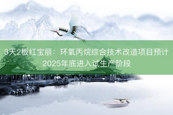 3天2板红宝丽：环氧丙烷综合技术改造项目预计2025年底进入试生产阶段