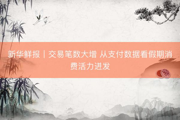 新华鲜报｜交易笔数大增 从支付数据看假期消费活力迸发