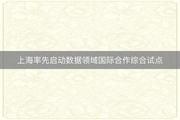 上海率先启动数据领域国际合作综合试点
