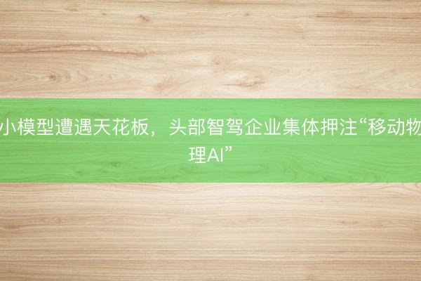 小模型遭遇天花板，头部智驾企业集体押注“移动物理AI”