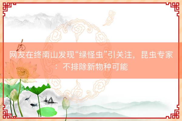 网友在终南山发现“绿怪虫”引关注，昆虫专家：不排除新物种可能