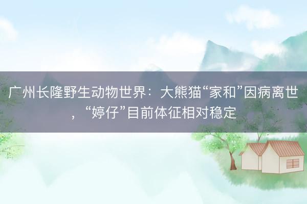 广州长隆野生动物世界：大熊猫“家和”因病离世，“婷仔”目前体征相对稳定