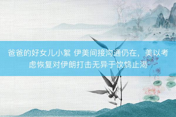 爸爸的好女儿小絮 伊美间接沟通仍在，美以考虑恢复对伊朗打击无异于饮鸩止渴
