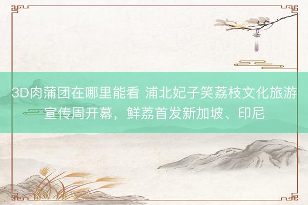 3D肉蒲团在哪里能看 浦北妃子笑荔枝文化旅游宣传周开幕，鲜荔首发新加坡、印尼