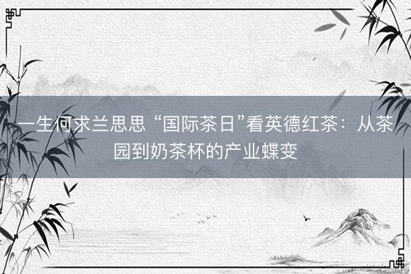 一生何求兰思思 “国际茶日”看英德红茶:从茶园到奶茶杯的产业蝶变