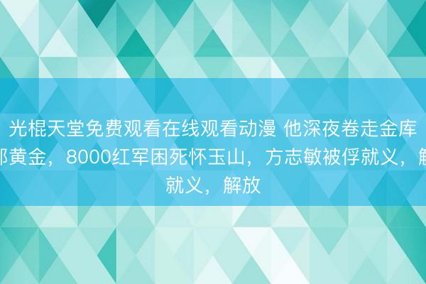 光棍天堂免费观看在线观看动漫 他深夜卷走金库全部黄金，8000红军困死怀玉山，方志敏被俘就义，解放