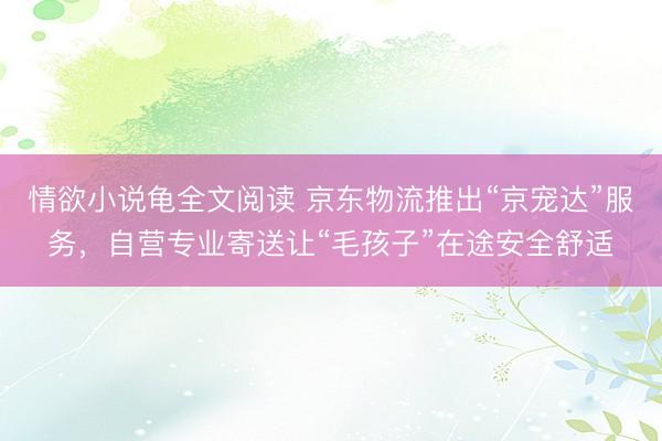 情欲小说龟全文阅读 京东物流推出“京宠达”服务，自营专业寄送让“毛孩子”在途安全舒适