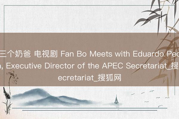 三个奶爸 电视剧 Fan Bo Meets with Eduardo Pedrosa， Executive Director of the APEC Secretariat_搜狐网