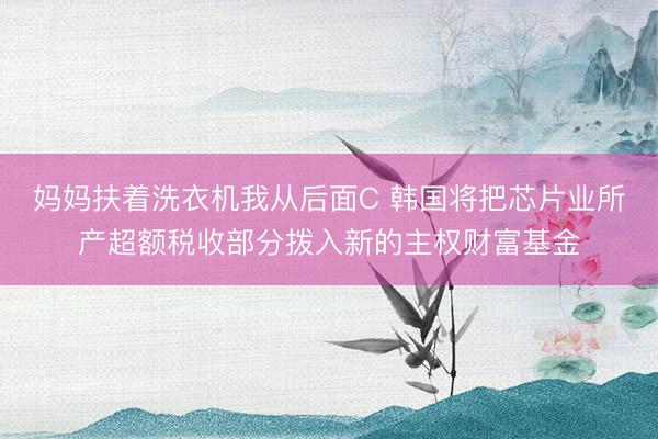 妈妈扶着洗衣机我从后面C 韩国将把芯片业所产超额税收部分拨入新的主权财富基金