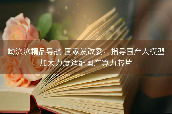 呦泬泬精品导航 国家发改委：指导国产大模型加大力度适配国产算力芯片