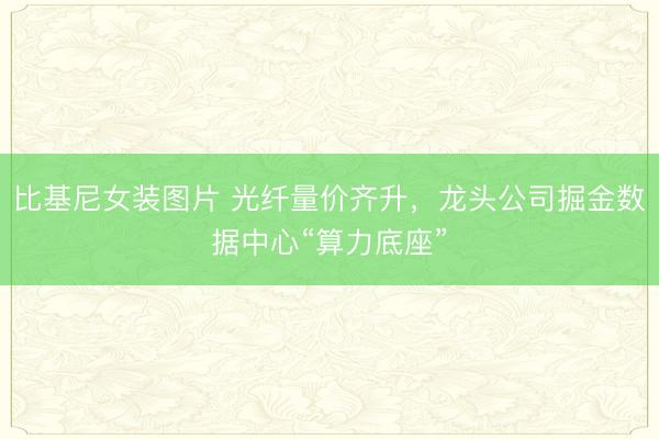 比基尼女装图片 光纤量价齐升，龙头公司掘金数据中心“算力底座”