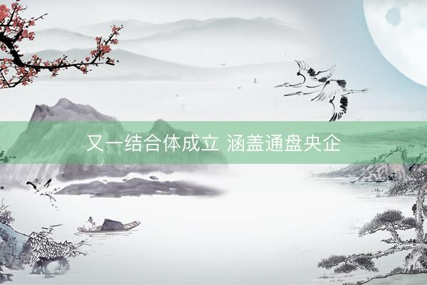 又一结合体成立 涵盖通盘央企