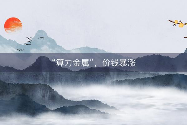 “算力金属”，价钱暴涨