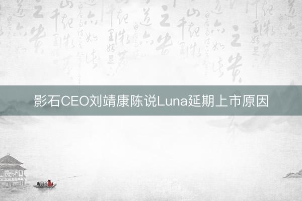 影石CEO刘靖康陈说Luna延期上市原因