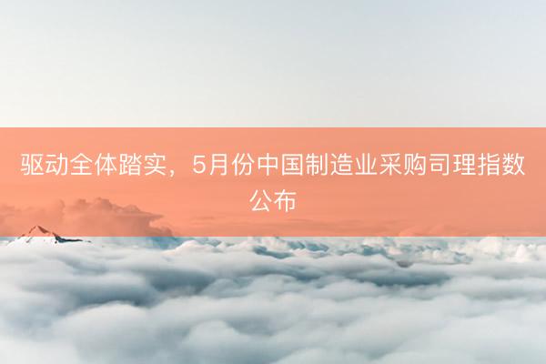 驱动全体踏实，5月份中国制造业采购司理指数公布