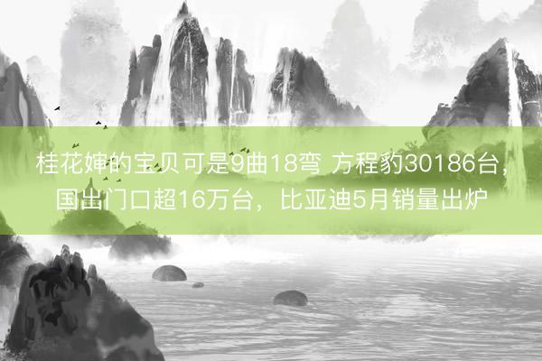 桂花婶的宝贝可是9曲18弯 方程豹30186台，国出门口超16万台，比亚迪5月销量出炉