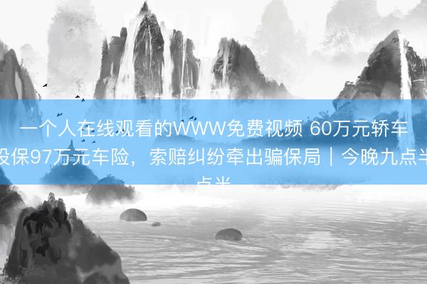 一个人在线观看的WWW免费视频 60万元轿车投保97万元车险，索赔纠纷牵出骗保局｜今晚九点半