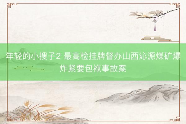 年轻的小搜子2 最高检挂牌督办山西沁源煤矿爆炸紧要包袱事故案