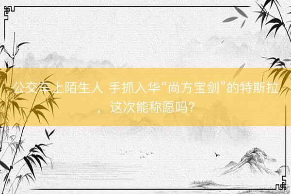 公交车上陌生人 手抓入华“尚方宝剑”的特斯拉，这次能称愿吗？
