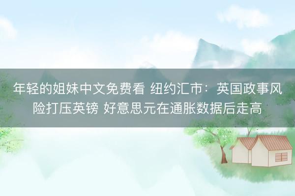 年轻的姐妹中文免费看 纽约汇市：英国政事风险打压英镑 好意思元在通胀数据后走高