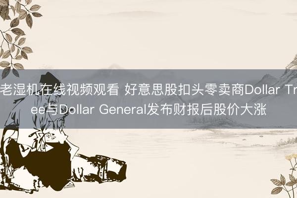老湿机在线视频观看 好意思股扣头零卖商Dollar Tree与Dollar General发布财报后股价大涨