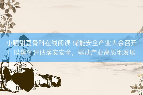 小颗甜豆骨科在线阅读 储能安全产业大会召开：以量化评估落实安全，驱动产业高质地发展