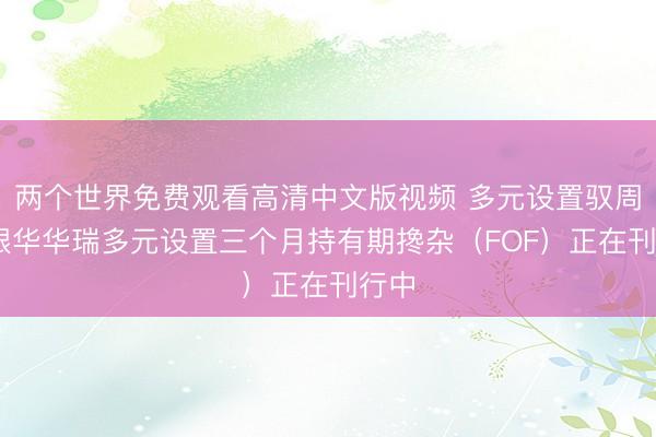 两个世界免费观看高清中文版视频 多元设置驭周期 银华华瑞多元设置三个月持有期搀杂（FOF）正在刊行中