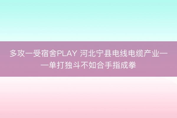 多攻一受宿舍PLAY 河北宁县电线电缆产业——单打独斗不如合手指成拳