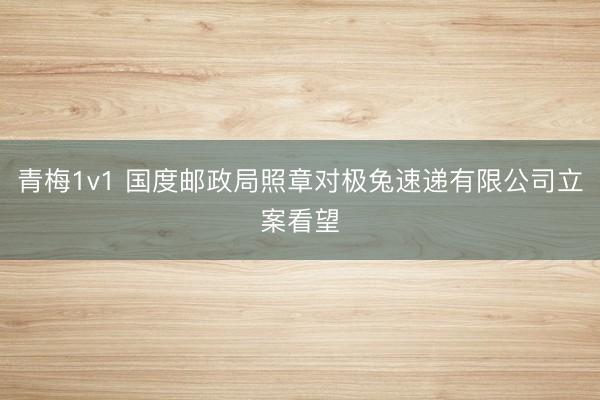 青梅1v1 国度邮政局照章对极兔速递有限公司立案看望