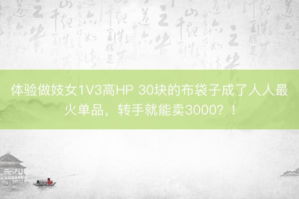 体验做妓女1V3高HP 30块的布袋子成了人人最火单品，转手就能卖3000？！