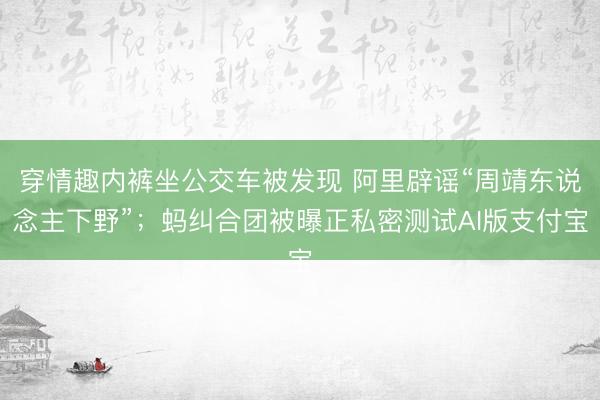 穿情趣内裤坐公交车被发现 阿里辟谣“周靖东说念主下野”；蚂纠合团被曝正私密测试AI版支付宝