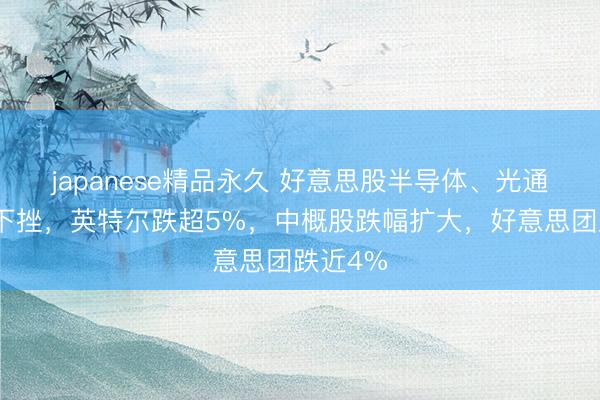 japanese精品永久 好意思股半导体、光通讯多股下挫，英特尔跌超5%，中概股跌幅扩大，好意思团跌近4%