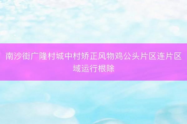 南沙街广隆村城中村矫正风物鸡公头片区连片区域运行根除