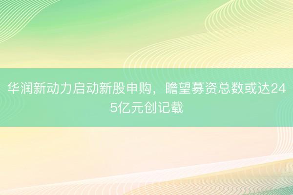 华润新动力启动新股申购，瞻望募资总数或达245亿元创记载