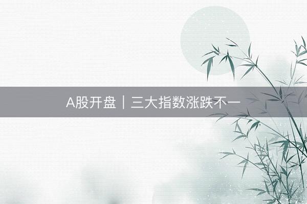 A股开盘｜三大指数涨跌不一